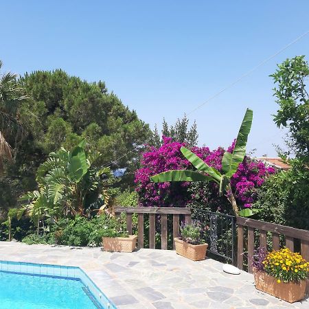 Villa Suites Lagonisi Luxury 외부 사진